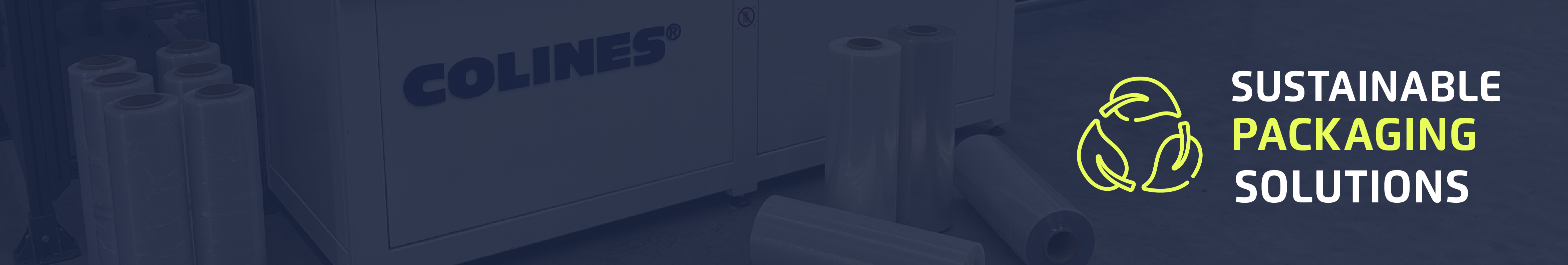 EPSILON Header linkedin-02-1